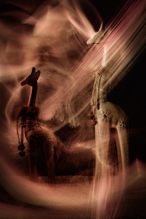 Radiant giraffes III