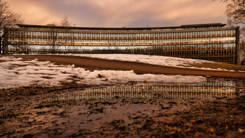 reflexion of a building