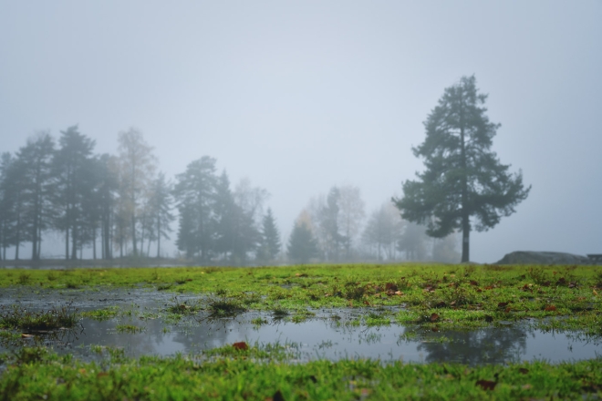 soggnsvann with mist