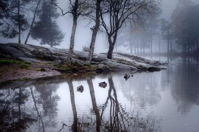 fog at the lake