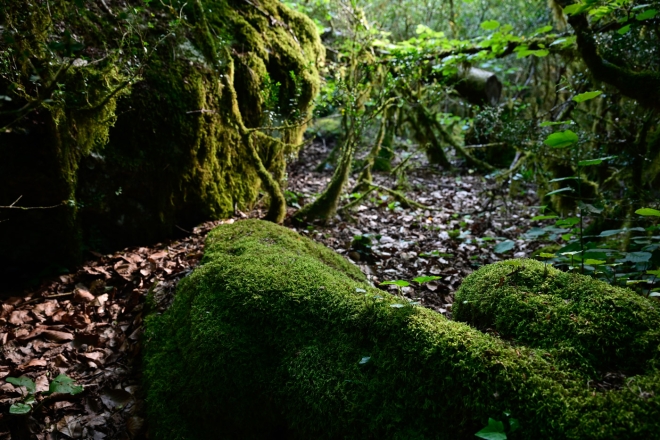 a small rusty place