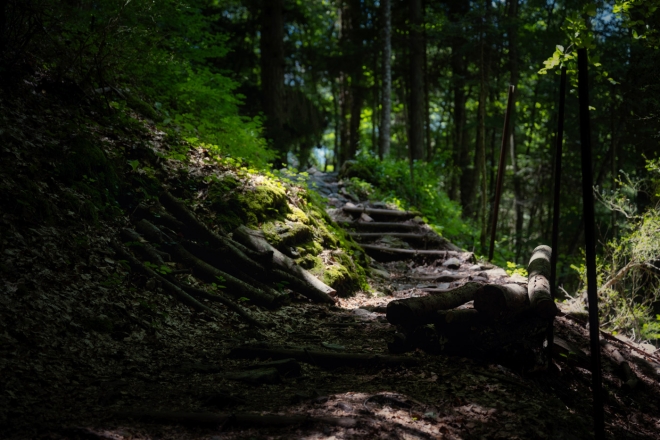 path to the wooden bridge